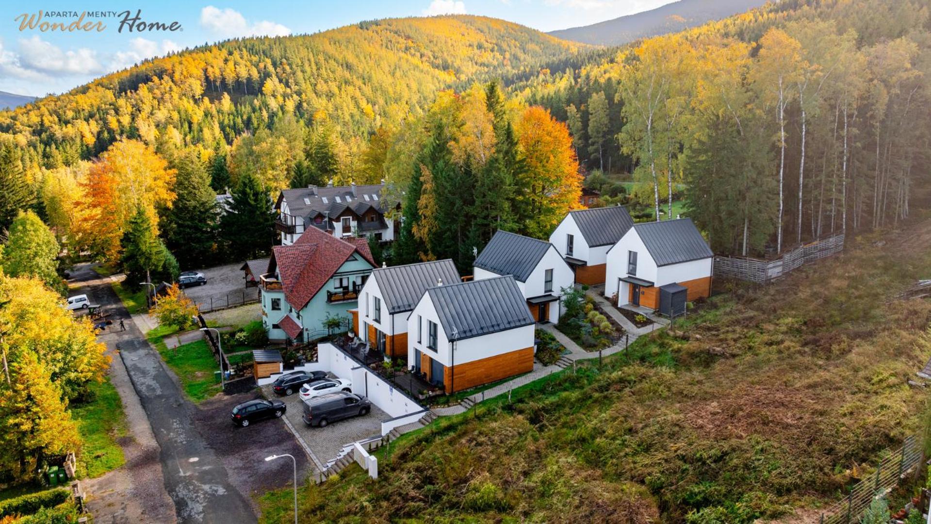 Wonder Home - Domki Gorskie Wolnostojace Z Prywatnymi Tarasami - Zielona Okolica Карпач Екстер'єр фото