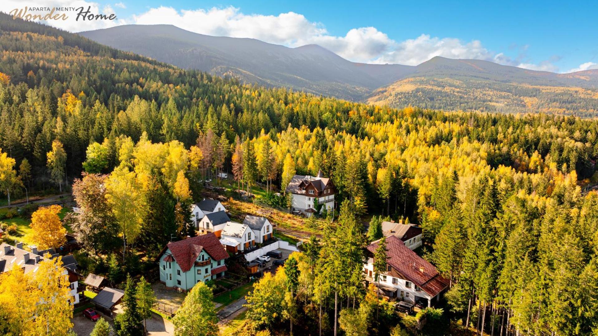 Wonder Home - Domki Gorskie Wolnostojace Z Prywatnymi Tarasami - Zielona Okolica Карпач Екстер'єр фото